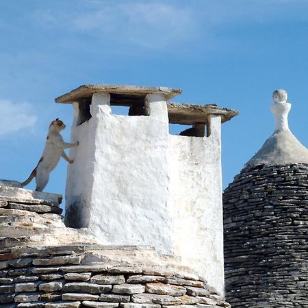 B&B Corso Trieste E Trento Alberobello Dış mekan fotoğraf